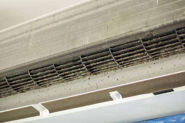 Best Affordable Duct Cleaning Services  in Gibsonville, NC
